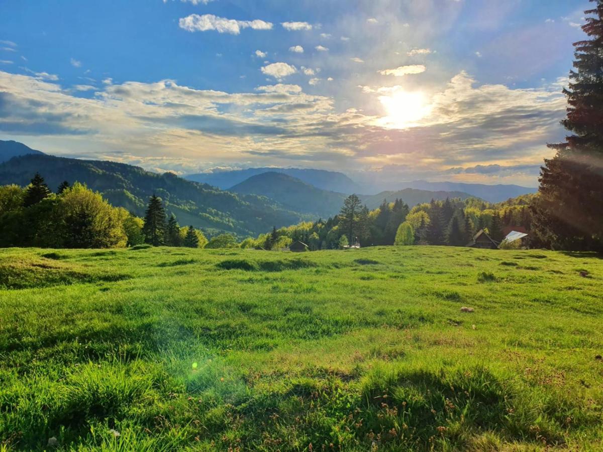 Pensiunea Drumetul Predeal Exteriér fotografie